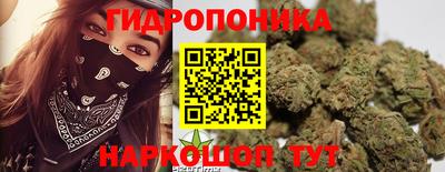 трава Будённовск