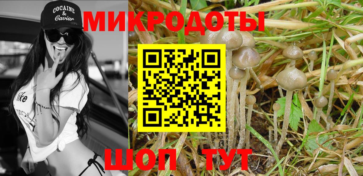 Псилоцибиновые грибы Psilocybe  Вход с VPN  Псилоцибиновые грибы Magic Shrooms  Краснознаменск 