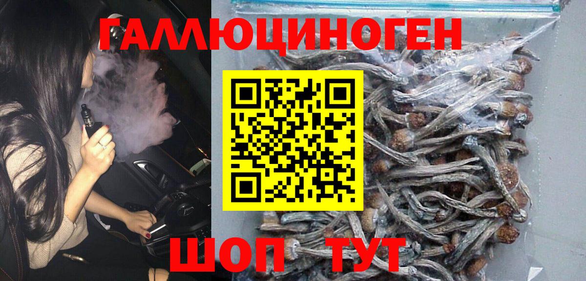 Галлюциногенные грибы MAGIC MUSHROOMS Краснознаменск